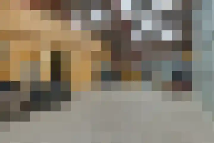Achterste Erm 1 Erm thumbnail 55