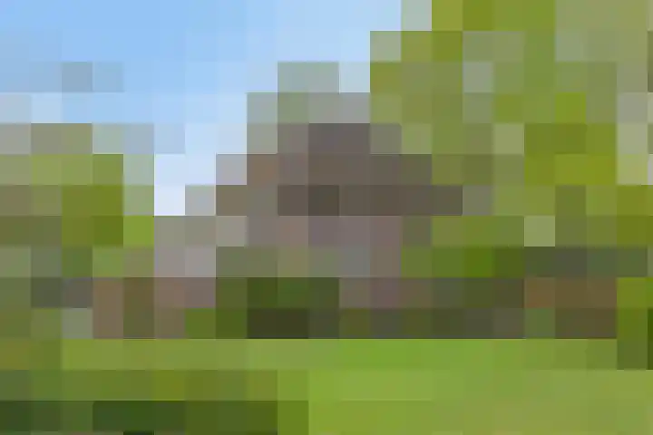 Achterste Erm 1 Erm thumbnail 57