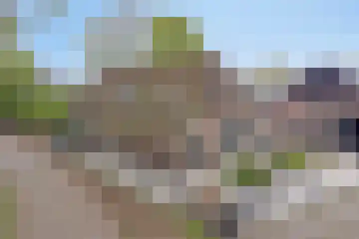 Achterste Erm 1 Erm thumbnail 58