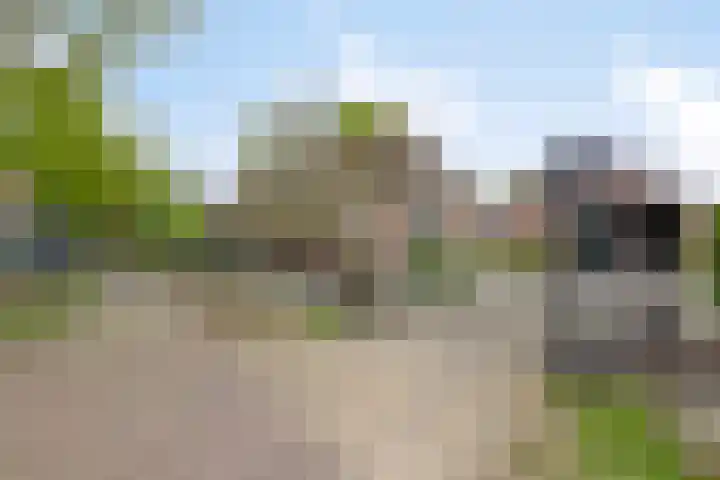 Achterste Erm 1 Erm thumbnail 59