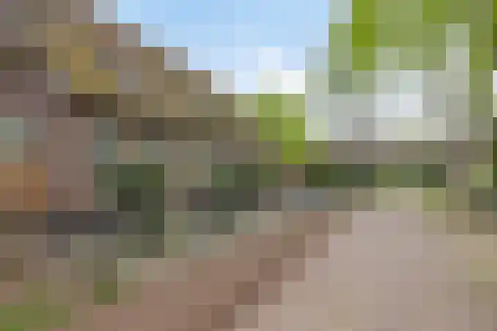 Achterste Erm 1 Erm thumbnail 60