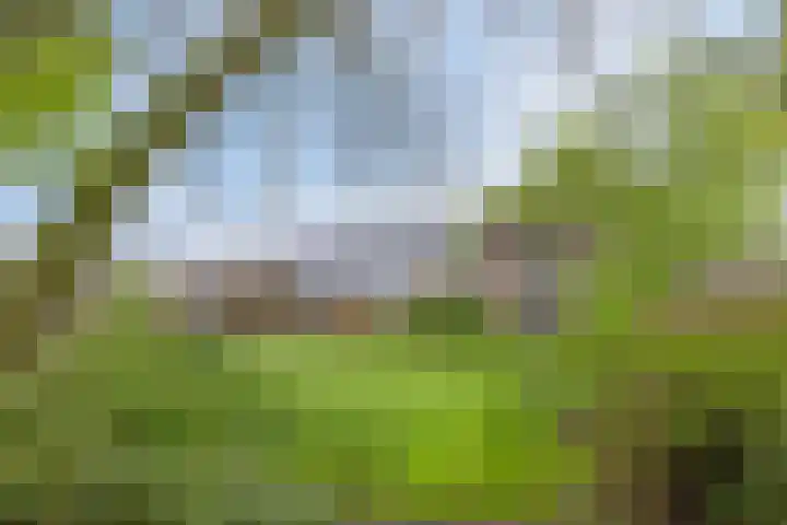 Achterste Erm 1 Erm thumbnail 61
