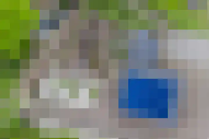 Achterste Erm 1 Erm thumbnail 62