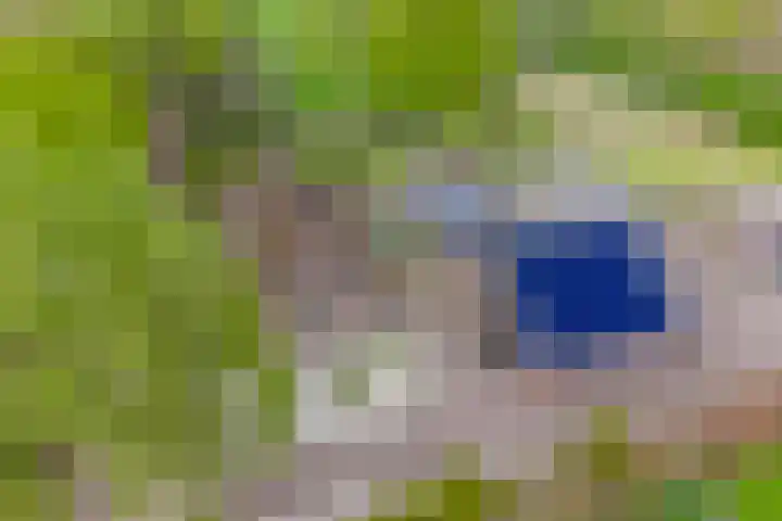 Achterste Erm 1 Erm thumbnail 63