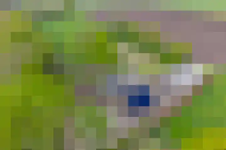 Achterste Erm 1 Erm thumbnail 64