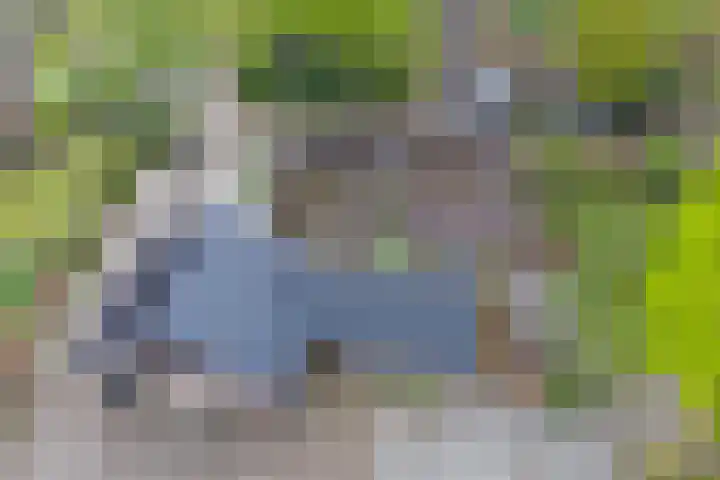 Achterste Erm 1 Erm thumbnail 65