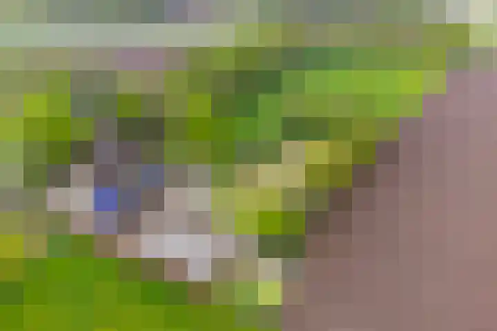 Achterste Erm 1 Erm thumbnail 67