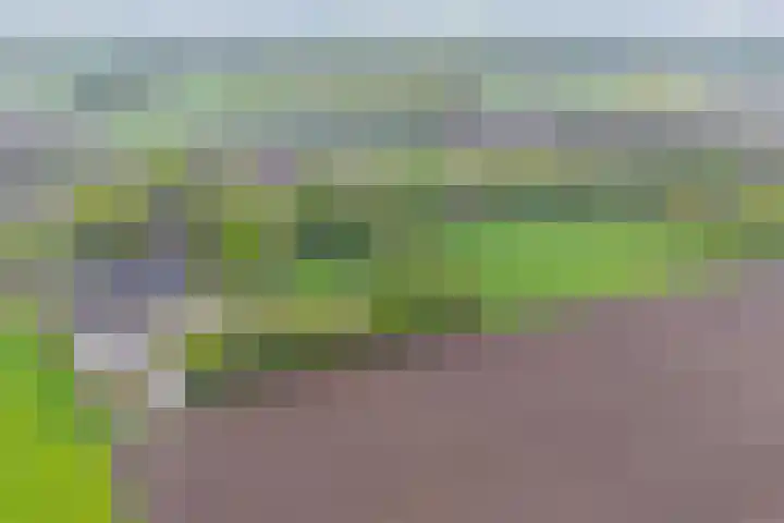 Achterste Erm 1 Erm thumbnail 68