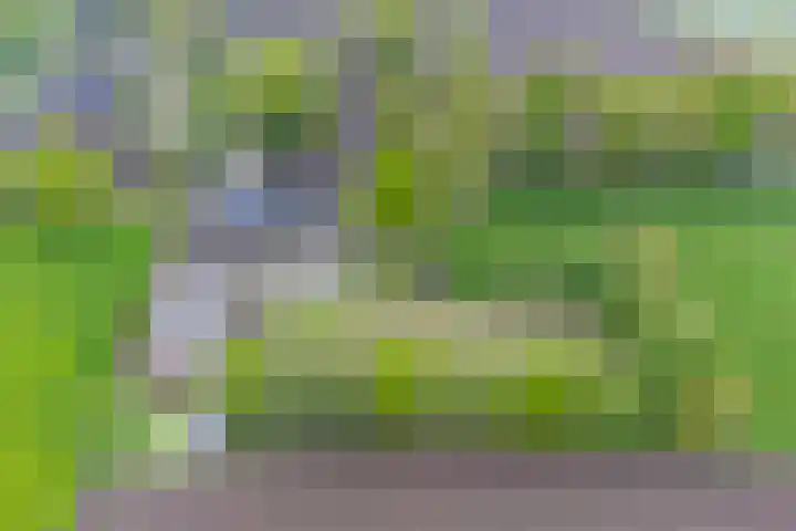 Achterste Erm 1 Erm thumbnail 69