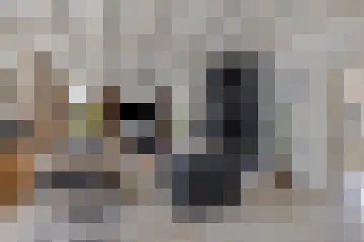 Achterste Erm 1 Erm thumbnail 7