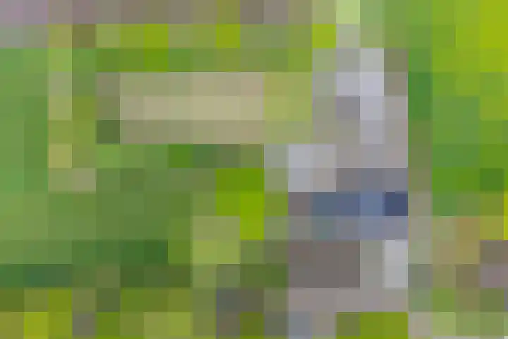 Achterste Erm 1 Erm thumbnail 70