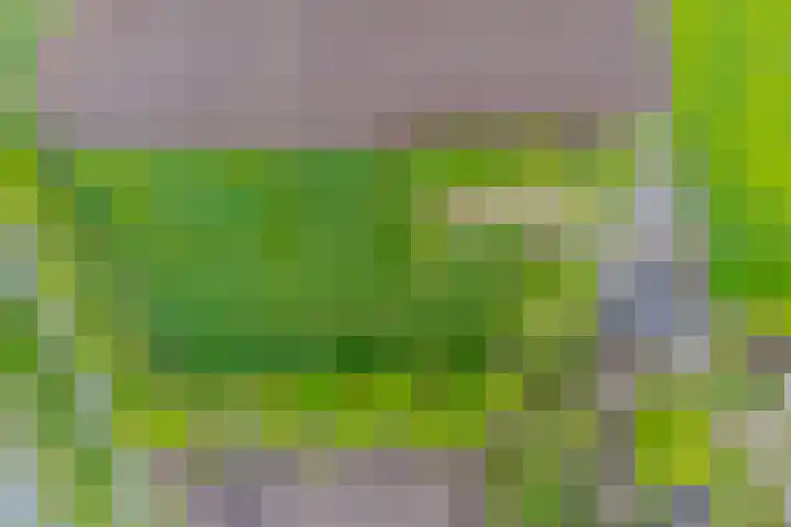 Achterste Erm 1 Erm thumbnail 71