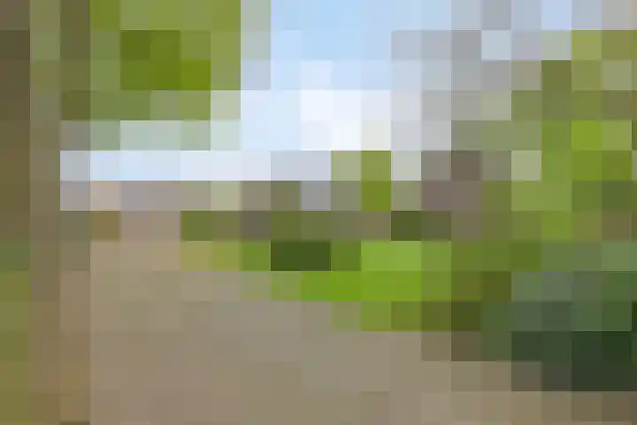 Achterste Erm 1 Erm thumbnail 72