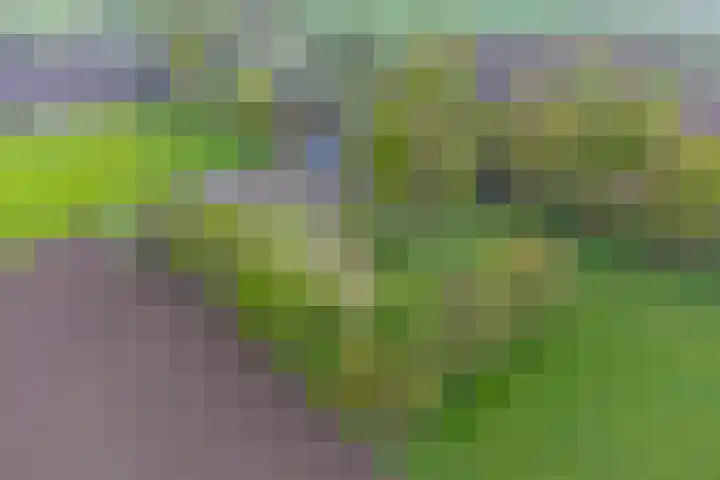 Achterste Erm 1 Erm thumbnail 76