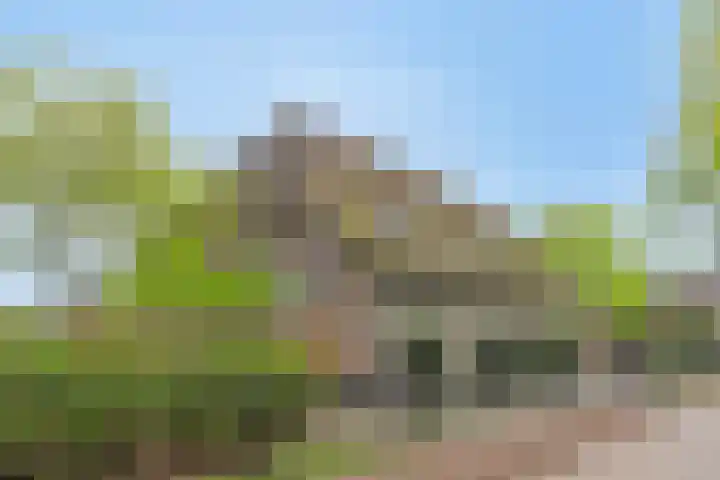 Achterste Erm 1 Erm thumbnail 78