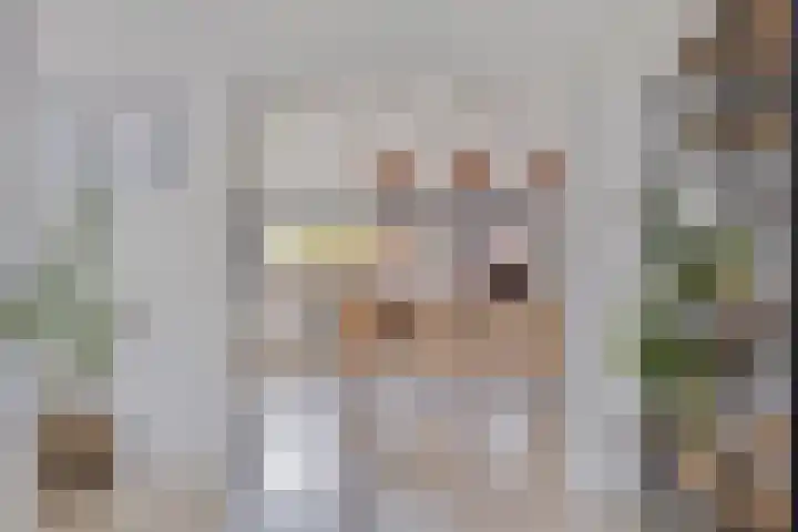 Achterste Erm 1 Erm thumbnail 8