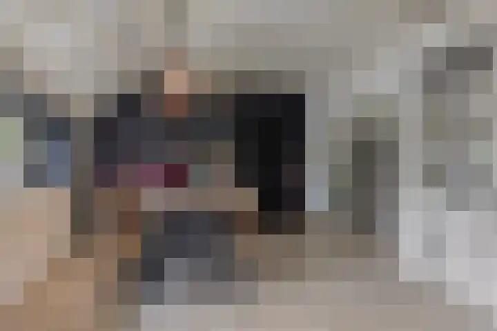 Achterste Erm 1 Erm thumbnail 9