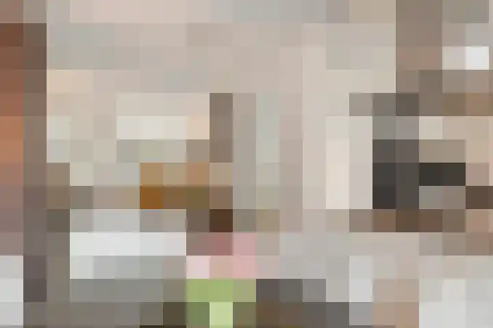 Achterste Weide 30 Duiven thumbnail 16