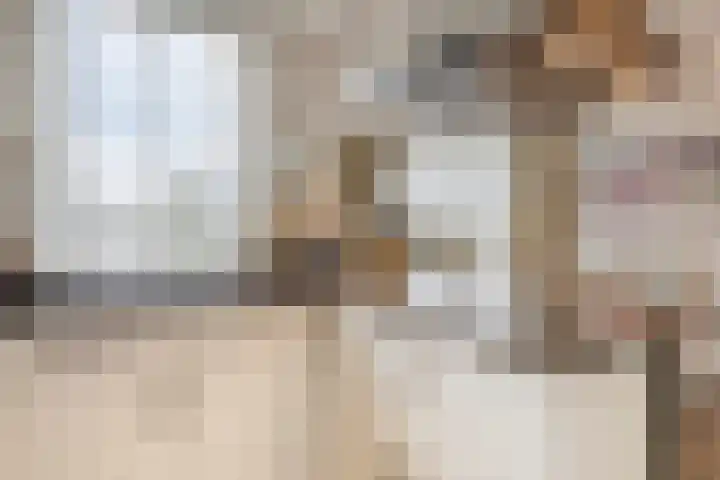 Achterste Weide 30 Duiven thumbnail 18