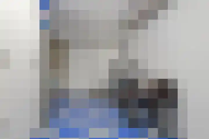 Achterste Weide 30 Duiven thumbnail 21