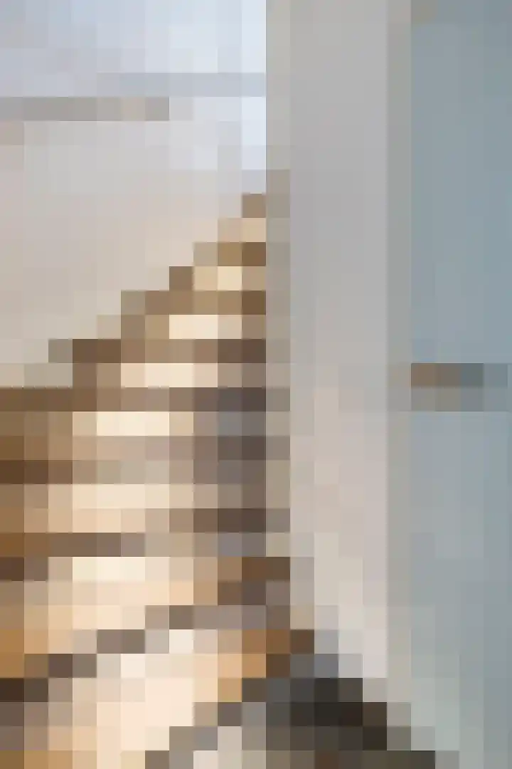 Achterste Weide 30 Duiven thumbnail 24