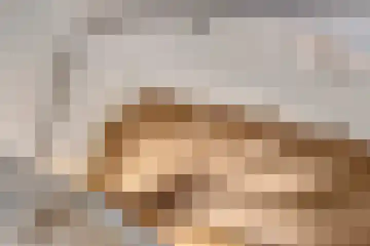 Achterste Weide 30 Duiven thumbnail 25