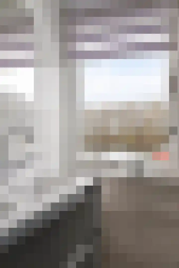 Achterste Weide 30 Duiven thumbnail 35