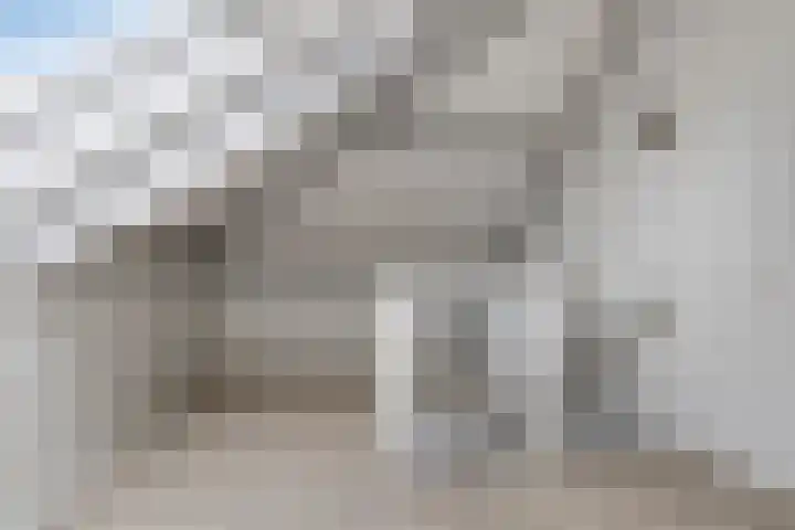 Achterste Weide 30 Duiven thumbnail 38