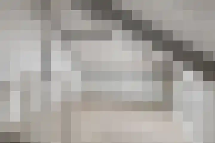 Achterste Weide 30 Duiven thumbnail 39