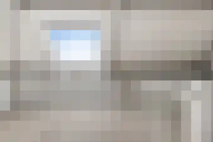 Achterste Weide 30 Duiven thumbnail 40