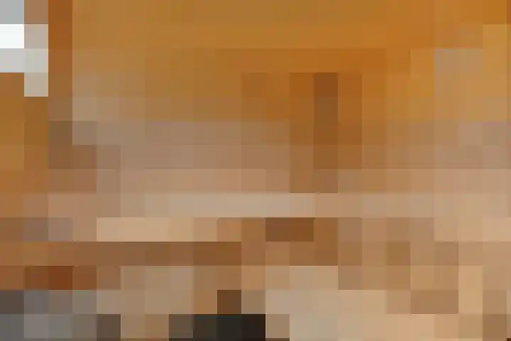 Achterste Weide 30 Duiven thumbnail 41