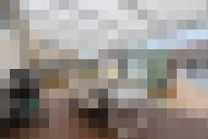 Achterste Weide 30 Duiven thumbnail 45