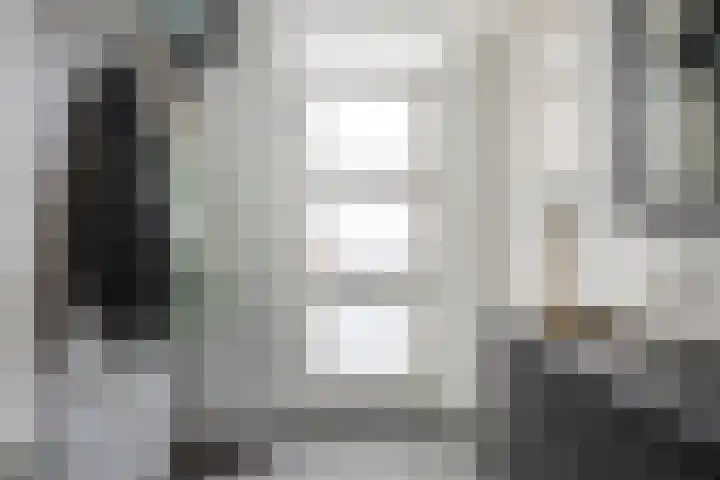 Achterste Weide 30 Duiven thumbnail 5