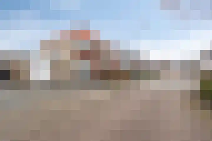 Achterste Weide 30 Duiven thumbnail 61