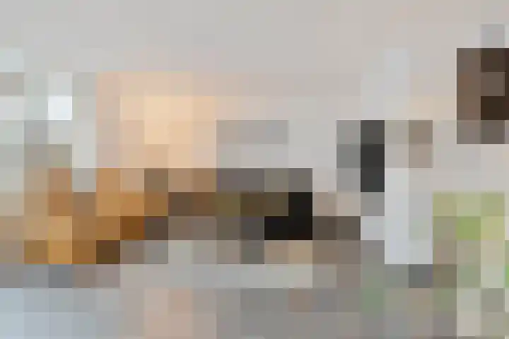 Achterste Weide 30 Duiven thumbnail 8