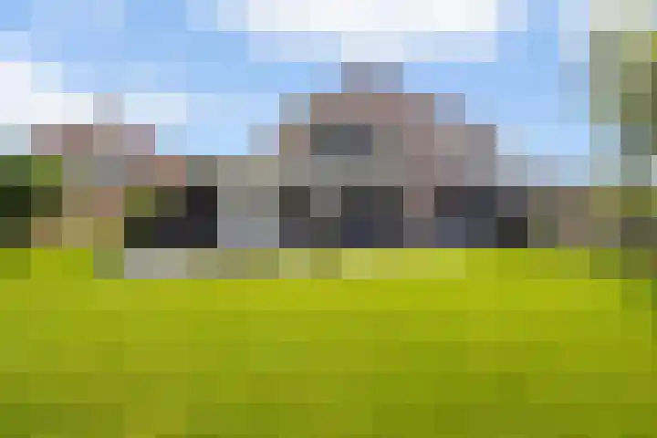Achterste Weide 64 Duiven