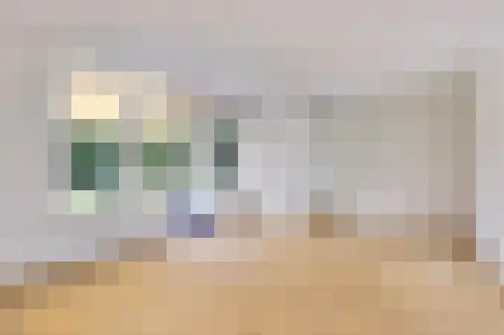 Achterste Weide 64 Duiven thumbnail 12