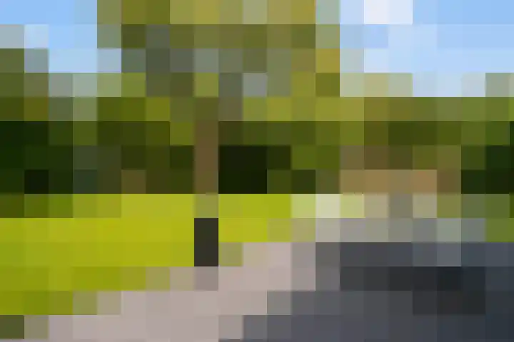 Achterste Weide 64 Duiven thumbnail 18