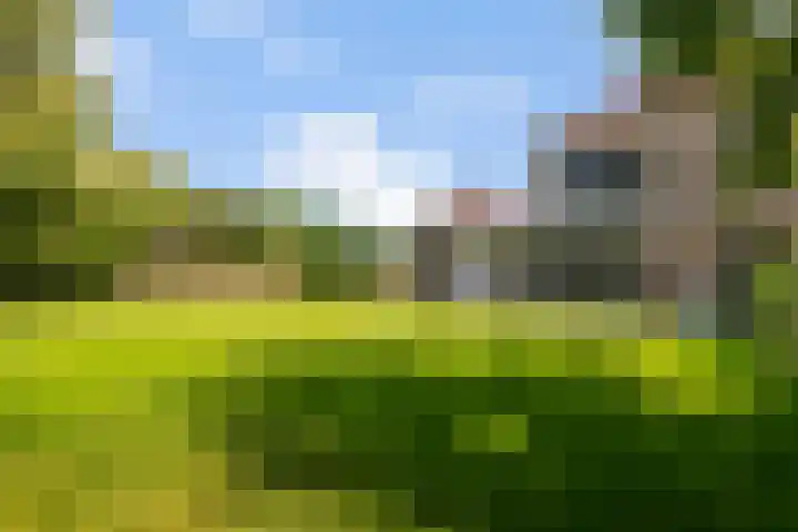 Achterste Weide 64 Duiven thumbnail 20