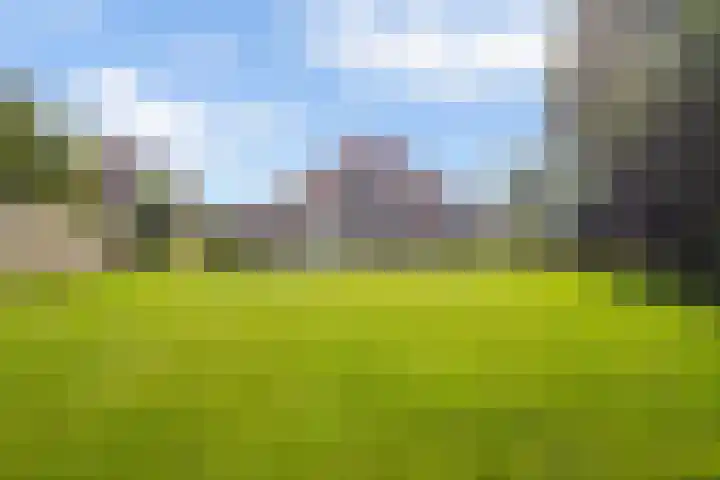 Achterste Weide 64 Duiven thumbnail 22