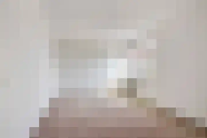 Achterste Weide 64 Duiven thumbnail 24