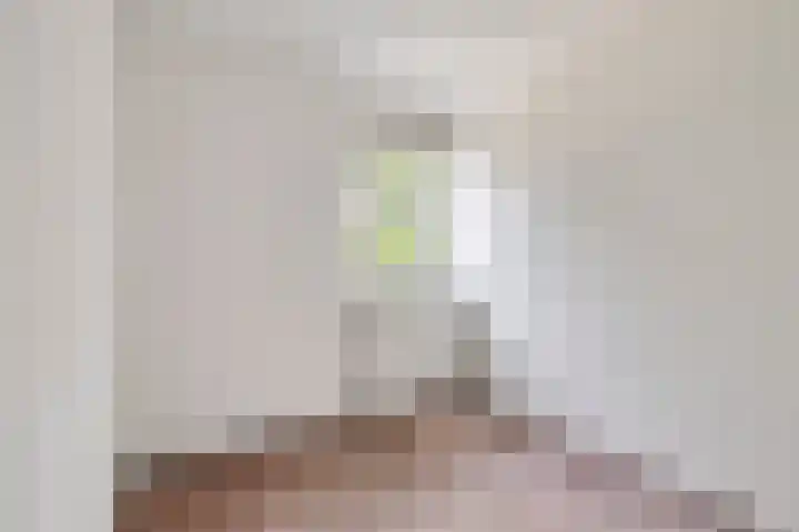 Achterste Weide 64 Duiven thumbnail 28