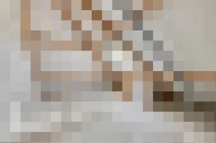 Achterste Weide 64 Duiven thumbnail 32