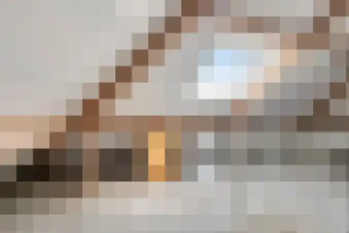 Achterste Weide 64 Duiven thumbnail 33