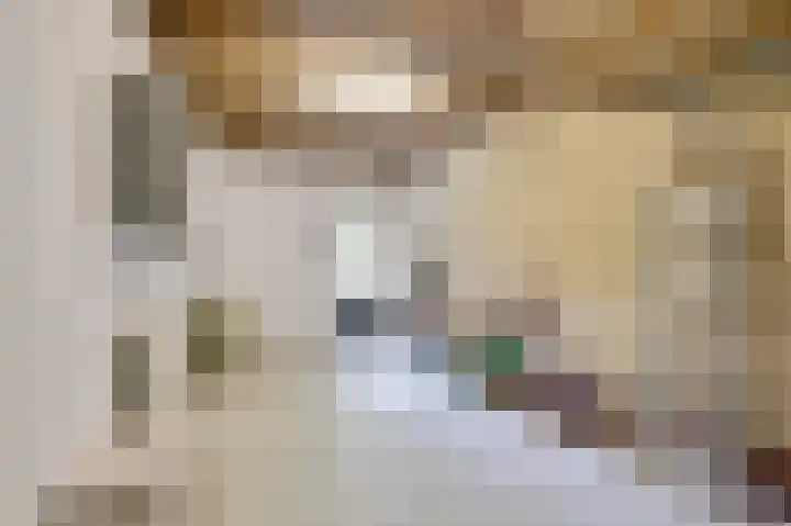 Achterste Weide 64 Duiven thumbnail 34
