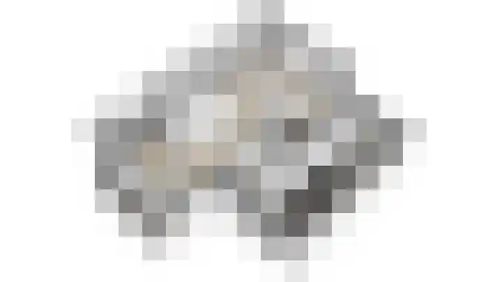 Achterste Weide 64 Duiven thumbnail 37