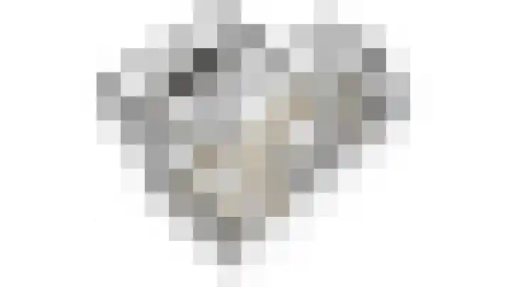 Achterste Weide 64 Duiven thumbnail 38