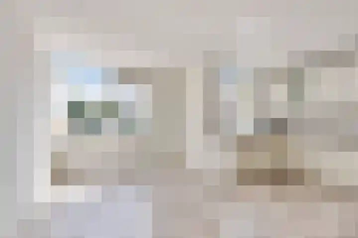 Achterste Weide 64 Duiven thumbnail 4