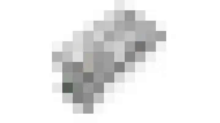 Achterste Weide 64 Duiven thumbnail 40