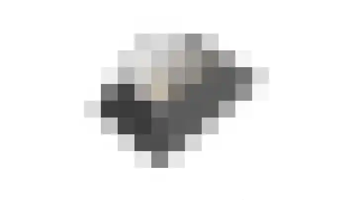 Achterste Weide 64 Duiven thumbnail 43